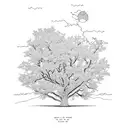 oak tree  tattoo design idea