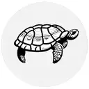 Tortoise side view bold lines tattoo design idea