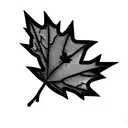 Maple Leaf tattoo design idea