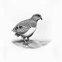 bobwhite quail tattoo design idea