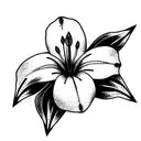 Lily tattoo design idea