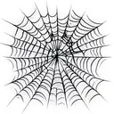 Spider Web tattoo design idea