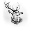 stag tattoo design idea