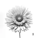 black Chrysanthemum tattoo design idea