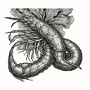 Shrimp tattoo design idea