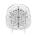 half normal brain half electrical brain, with lines and design for the arm tattoo design idea