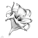 calla lily tattoo design idea