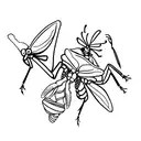 mantis tattoo design idea