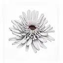 Chrysanthemum tattoo design idea