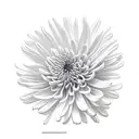 Chrysanthemum tattoo design idea