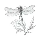 dragonfly standing on coraline key  tattoo design idea