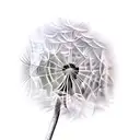 Dandelion and birds tattoo design idea