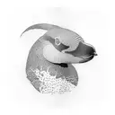 loon tattoo design idea