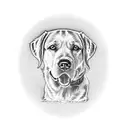 perro labrador  tattoo design idea