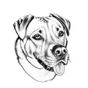 perro labrador  tattoo design idea