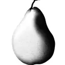 pear tree tattoo design idea