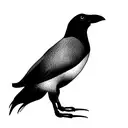 australian magpie tattoo design idea