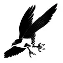 australian magpie tattoo design idea