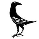 australian magpie tattoo design idea