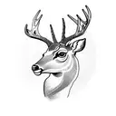 deer tattoo design idea