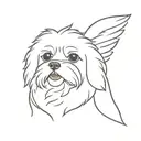 maltese bichon face with wings tattoo design idea