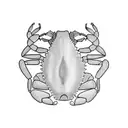 crabs and cancer zodiac tattoo design idea