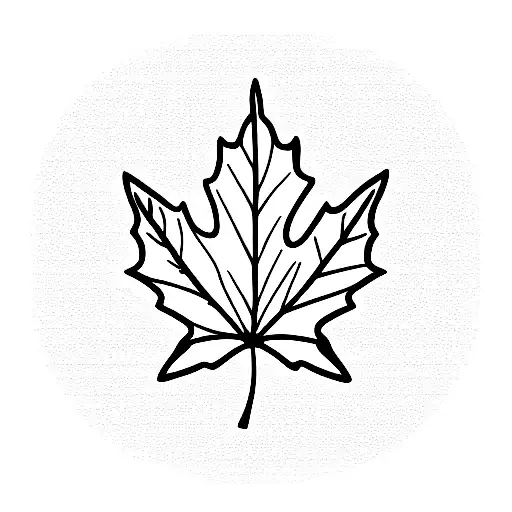 maple leaf tattoo outline