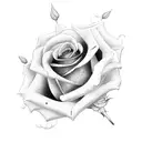 Rose with blackjack tattoo design idea
