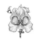 holly rose iris tattoo design idea