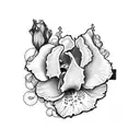 holly rose iris tattoo design idea