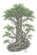 willow tree ayahuasca vines intertwining   tattoo design idea