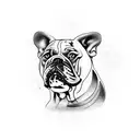 french bull dog white and black tattoo design idea