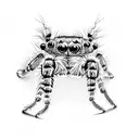 Jumping spider, phiddipus regius, digital painting tattoo design idea