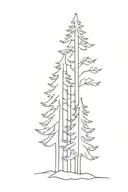 An simple outline of two evergreen trees beside each other  tattoo design idea