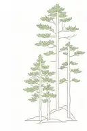 An simple outline of two evergreen trees beside each other  tattoo design idea
