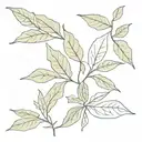 bay leaf names of people tattoo design idea