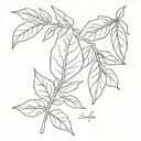 bay leaf names of people tattoo design idea