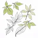 bay leaf names of people tattoo design idea
