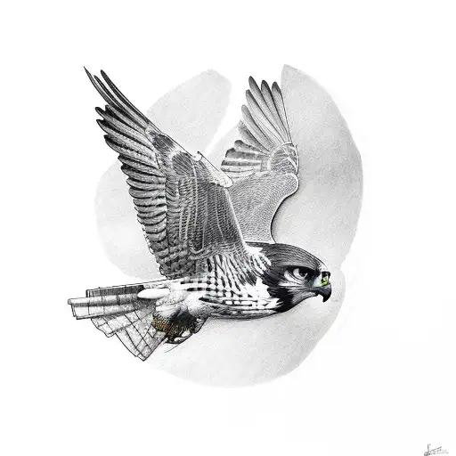 falcon  tattoo design idea