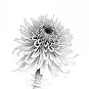 Chrysanthemum tattoo design idea