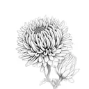 Chrysanthemum tattoo design idea