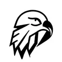 hawk face geometric  tattoo design idea