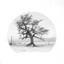 dead oak tree  tattoo design idea