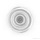 Single line fibonacci spiral tattoo design idea