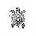 sea Turtle tattoo design idea