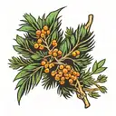 juniper branch tattoo design idea