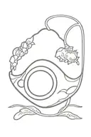 catfish and the bottlemen pacifier single cover with the lyric "oh please, you're obsessed" tattoo design idea