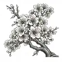 cherry blossom tree tattoo design idea