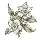 Daffodil and jonquils tattoo design idea