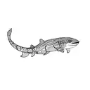 a zebra shark tattoo design idea
